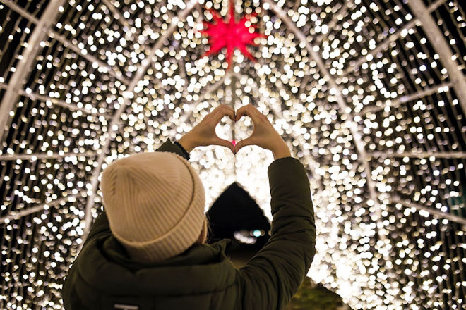 Impressionen vom Christmas Garden Stuttgart